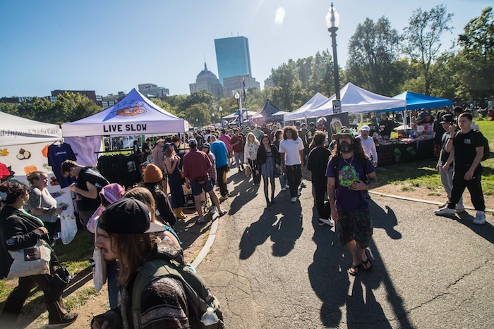 Pot Shots: Boston Freedom Rally 2025 | Talking Joints Memo