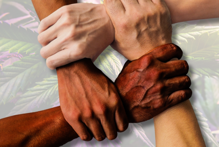 A Whole Lot Of Critical Social Justice Orgs Endorse ‘No On 8’ Campaign