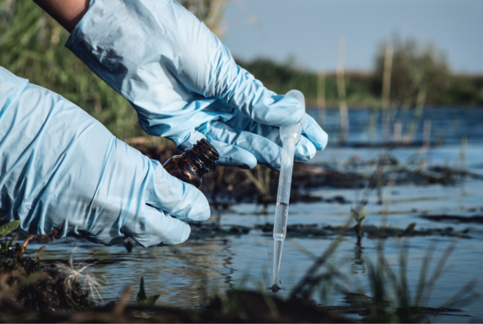 MassDEP Fines Cannabis Company For Environmental Violations