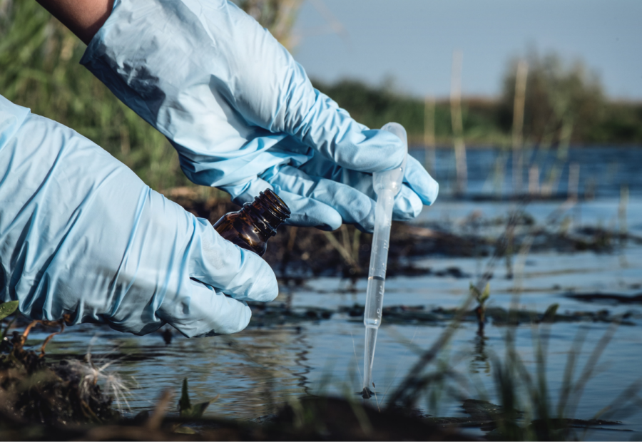 MassDEP Fines Cannabis Company For Environmental Violations