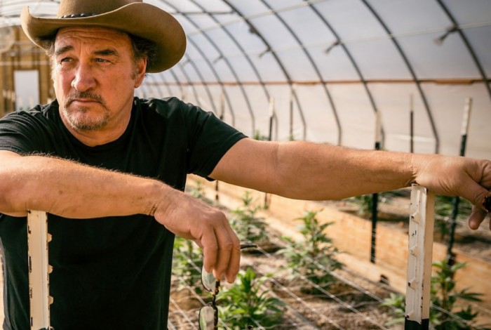 Brother Zee Jim Belushi Joins The ‘No On Question 8’ Chorus